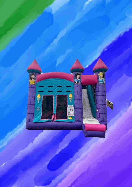 Princess Castle Dry Slide bounce house with slide