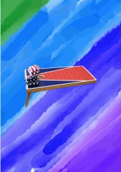 Bash & Splash Corn Hole Game Bash & Splash Corn Hole Game